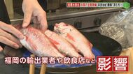 高級魚が定食で…輸出業者は悲鳴「売り上げ6～7割減」　福岡でも影響　原発処理水海洋放出“中国全面禁輸”