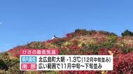 冬が始まるよ　広い範囲で今季一番の冷え込み　北広島町大朝は氷点下１．３℃　広島