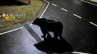 “目撃クマ画像”は生成AIフェイク　目撃情報も「虚偽」と判明　宮城・女川町