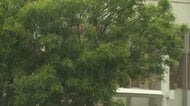横浜市中心に神奈川県で1万軒以上停電　原因は調査中も横浜市でゲリラ雷雨　竜巻注意情報や大雨警報が出ている地域も