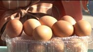 卵30個以上を600円でゲットした家族も　道の駅の“変化球”詰め放題　次の週末はコメやキャベツ　「業務スーパー」は“総力祭”