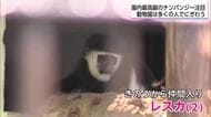 敬老の日に長寿の動物を祝うイベント　 宮崎市フェニックス自然動物園
