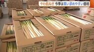「期待できる」“やわ肌ねぎ”出荷を前に品質チェック！おいしいネギを見分けるポイントは“色”？「鍋に入れてたくさん食べて」新潟