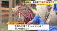 動物園で干支の引き継ぎ式　「ニシキヘビ」と「ポニー」が“出席”し「巳」から「午」へ　福岡県飯塚市　