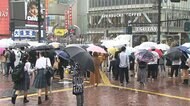 週末の渋谷 人出の様子は? 東京でリバウンドの懸念も...