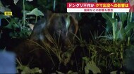 ヒグマの餌
