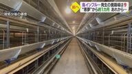 「終わったな」鳥インフルでニワトリがゼロに… “悪夢”から約1カ月　簡単には進まない再建【愛媛発】
