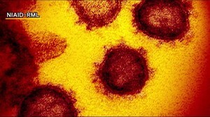 福島県で新たに37人の感染確認 病床はさらにひっ迫<新型コロナウイルス>