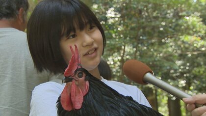 「夢は鶏の獣医師」14羽の鶏と暮らす小学生 “長鳴鶏”の鳴き合わせ会に挑戦！【新潟発】