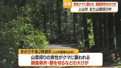 また山菜採り中の男性が…上山市菖蒲の山中でクマに襲われ顔面骨折の大けが　山形