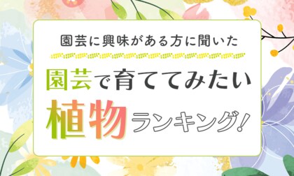 【園芸に興味がある方に聞いた】園芸で育ててみたい植物ランキング!