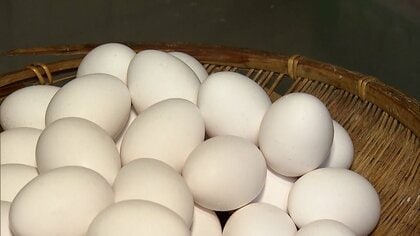 マヨネーズにも値上げの波…卵が過去最高値でお好み焼き店では“かけ放題”から有料に「全てが高い」