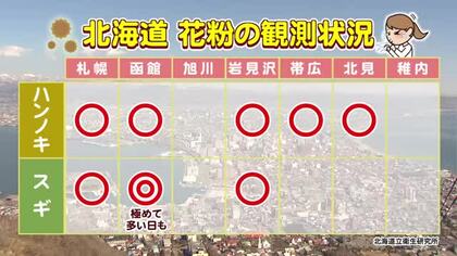【北海道の天気 25日(水)】函館でもスギ花粉が極めて多く…午後も晴れて飛散量が増えそう！アレルギー症状が出る方は対策を