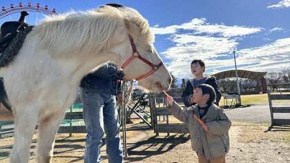 2026年は「午（うま）年」!　馬と触れあえる富山県魚津市の名所「ふれあい牧場フロンティア」で初心者から楽しめる乗馬やエサやり体験