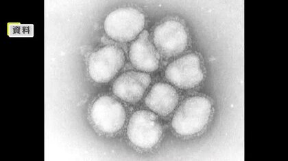 香川県が県内全域に「インフルエンザ流行警報」を発令　こまめな手洗いやワクチン接種を呼び掛け【香川】