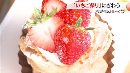 寒暖差大きい今…イチゴのおいしい季節に「お寿司」が登場　総社市の農産物直売所で「いちご祭り」【岡山】