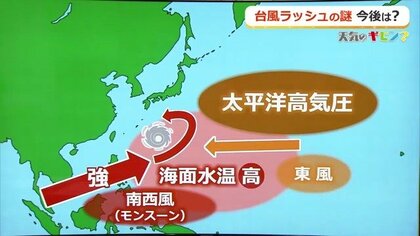 9月も“台風ラッシュ”　要因は強いモンスーンと高い海面水温　離れていても、上陸しなくても集中豪雨に注意