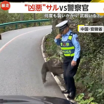 「武器いる？」“凶悪”サルVS警察官！何度も歯を剥き出し襲い掛かり群れで追い込む…一斉に“クラクション”鳴らしサルを撃退　中国・安徽省