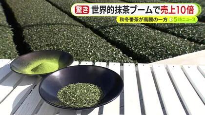 “秋冬番茶”異例の値上がり…取引価格は前年比6倍!? 一方で世界的抹茶ブーム　碾茶に切り替える農家も