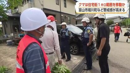 富山市でクマ出没相次ぐ ドラレコに成獣の姿「どこに潜んでいるか分からない」家庭菜園のスイカ全滅で落胆
