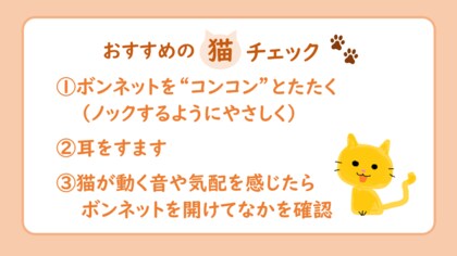 猫がクルマに入り込んでしまったトラブル1カ月で28件!1年通して発生するトラブル、暖かくなっても引き続きご注意を!