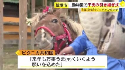 動物園で干支の引き継ぎ式　「ニシキヘビ」と「ポニー」が“出席”し「巳」から「午」へ　福岡県飯塚市　