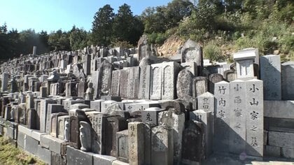 「桜葬ってロマンチックでしょ」亡き妹を樹木葬に　「墓じまい」急増で“墓石使わない”埋葬に注目　海洋散骨の体験クルーズも