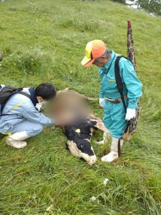 ✡️速購入OK✡️様　　　大猿 検索結果]-amiami.jp-あみあみオンライン本店-