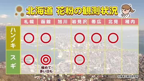 【北海道の天気 25日(水)】函館でもスギ花粉が極めて多く…午後も晴れて飛散量が増えそう！アレルギー症状が出る方は対策を