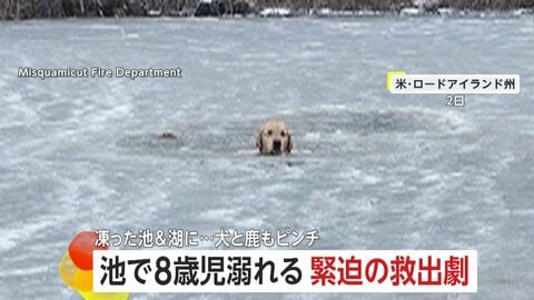 「助けてー！」“冬の水難”相次ぎ救助隊出動…凍結した池に落下した8歳の男の子、凍った池や湖に落ちた犬やシカも助け出される緊迫の救出劇　アメリカ