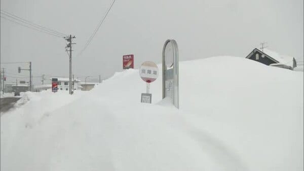 小*雪 鹿角市の積雪146センチに 観測史上最大を4日連続更新 記録的な大雪、北