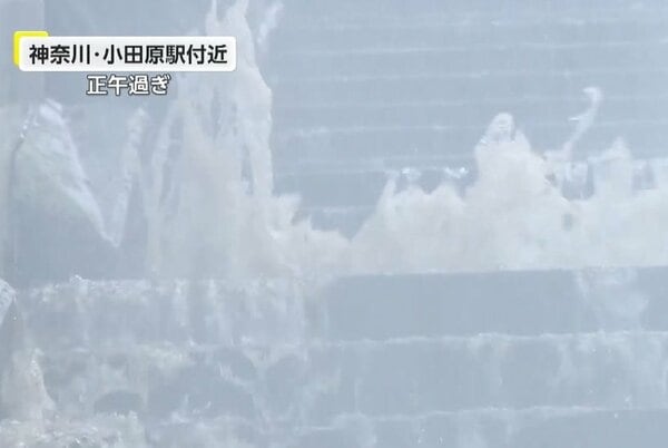 img_5b755ad7e0e9818d56bbaa99c6