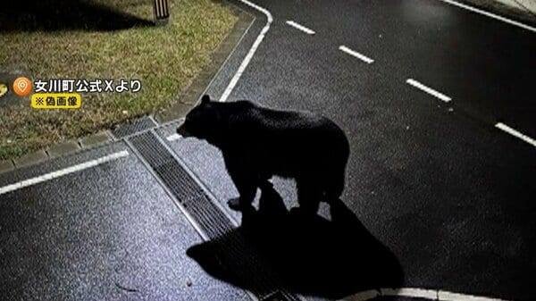 画像が削除されました