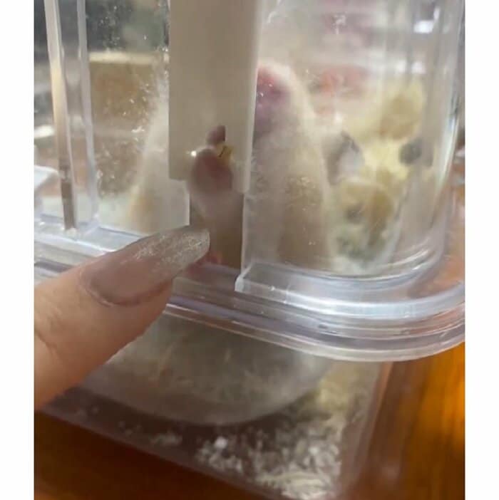 徐々に削ってケースに穴を開けていたという