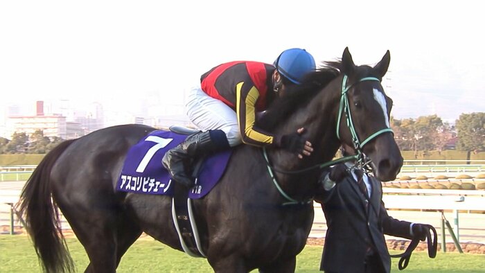 阪神JFを制したアスコリピチェーノ