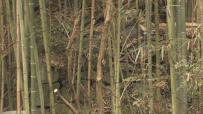 遺体が見つかった大阪・東大阪市の山中