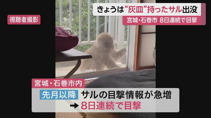 何やら、窓の枠の部分を触っている。暑くなってきたこの時期、窓が開いていたらと思うと恐ろしい