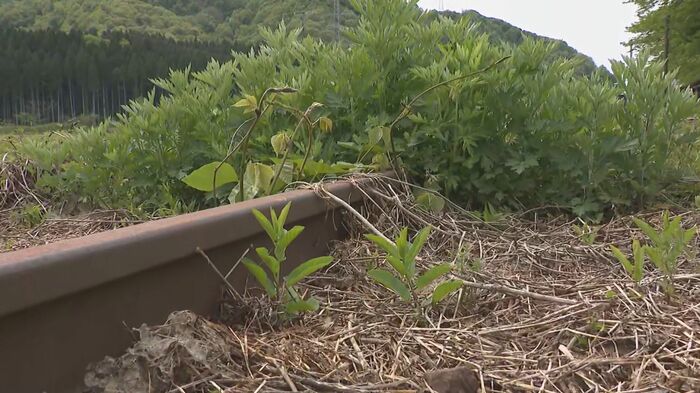 米坂線
