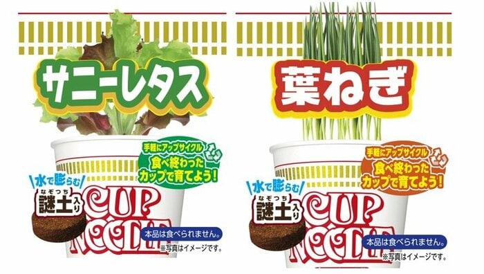 (提供:日清食品)※画像はイメージ