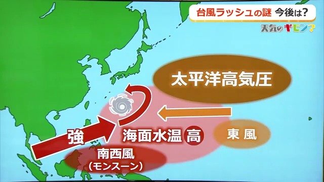 海面水温の高さも要因に