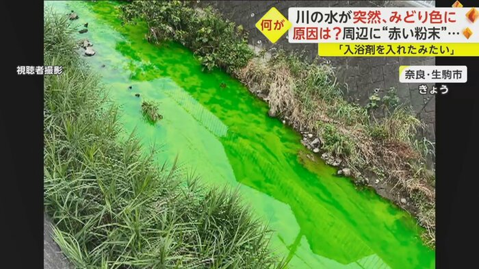 緑色に染まった竜田川