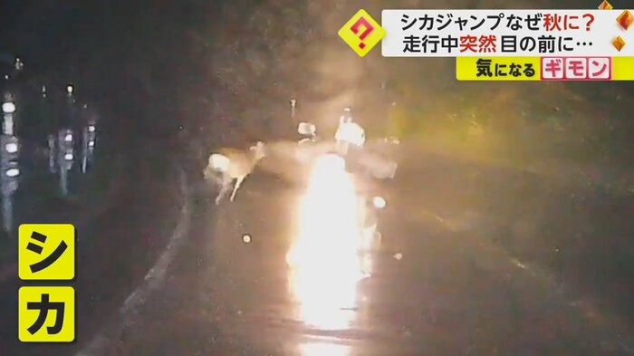 (FNN投稿サイト「ビデオPost」)