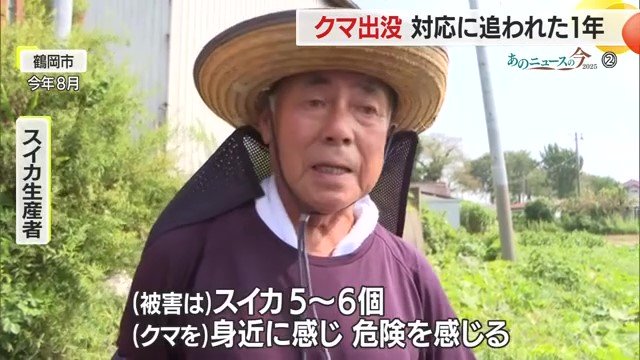 「被害にあったのはスイカ5～6個。クマを身近に感じ、危険を感じる」と語るスイカ生産者