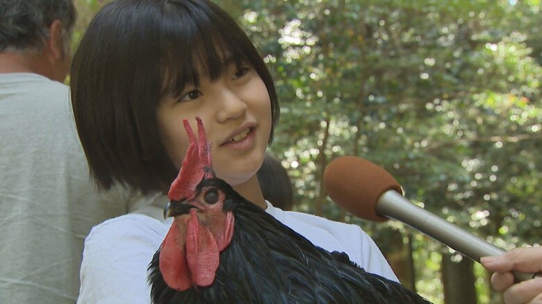 「夢は鶏の獣医師」14羽の鶏と暮らす小学生 “長鳴鶏”の鳴き合わせ会に挑戦！【新潟発】｜FNNプライムオンライン