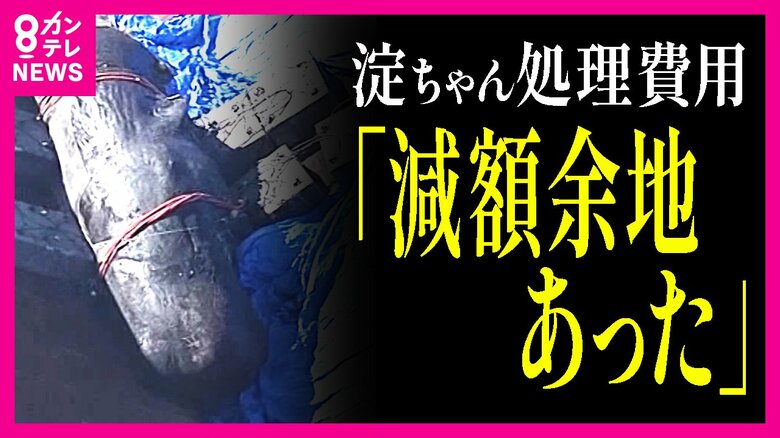 大阪湾で死んだクジラ「淀ちゃん」処理費用　「約1400万円減額の余地あり」　外部専門委が指摘　大阪市長は「合理的な手法」｜FNNプライムオンライン