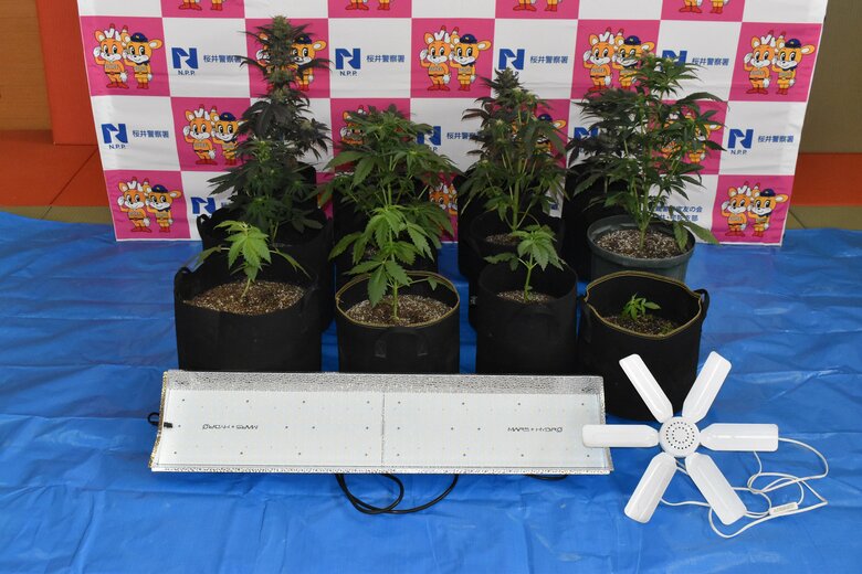 自宅の一室で大麻栽培の疑い　無職の男（69）逮捕　容疑認め「10年ぐらい前から吸っていた…」　種の”入手先”の友人も逮捕　奈良県警｜FNNプライムオンライン