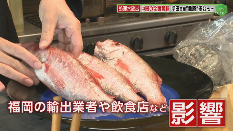 高級魚が定食で…輸出業者は悲鳴「売り上げ6～7割減」　福岡でも影響　原発処理水海洋放出“中国全面禁輸”｜FNNプライムオンライン