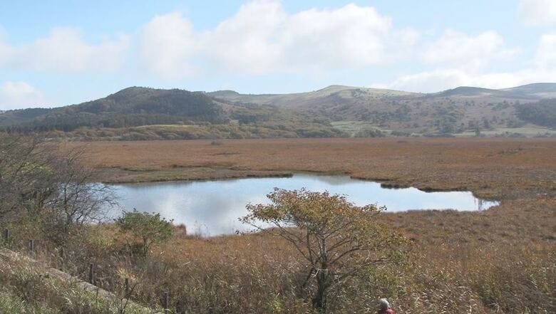 深まる高原の秋　草紅葉（くさもみじ）見ごろ　八島ヶ原湿原　長野県諏訪市・下諏訪町｜FNNプライムオンライン