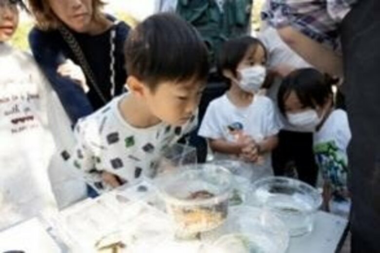 「イオン ふるさとの森 いきもの調査２０２６」を開始