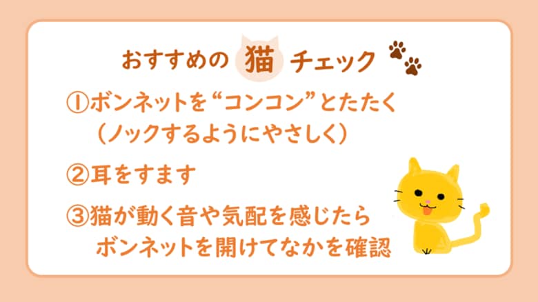 猫がクルマに入り込んでしまったトラブル1カ月で28件!1年通して発生するトラブル、暖かくなっても引き続きご注意を!